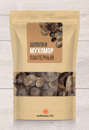 Шляпки мухомора пантерного